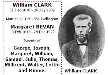 William Clark - Draper Wellington NZ